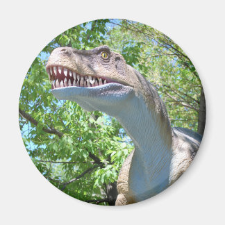 Dinosaur T-Rex Magneet