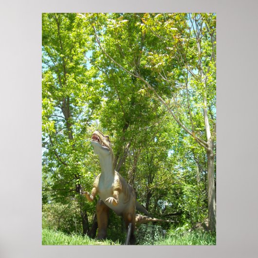 Dinosaur T-Rex Poster (Voorkant)
