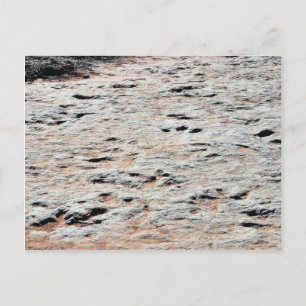 Dinosaur Tracks Briefkaart
