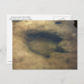 Dinosaur Tracks in Dinosaur Valley 5 briefkaart (Voorkant / Achterkant)