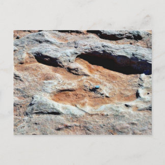 Dinosaur Tracks North of Flagstaff Briefkaart