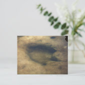 Dinosaur Trails en Texas 2 carte postale (Debout devant)