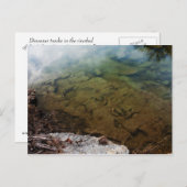 Dinosaur Trails en Texas 3 cartes postales (Devant / Derrière)