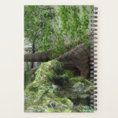 DINOSAUR WORLD Daily 2020 (Dos)