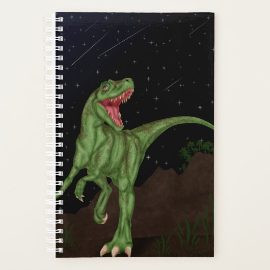 Dinosaure - Nuit préhistorique (Devant)