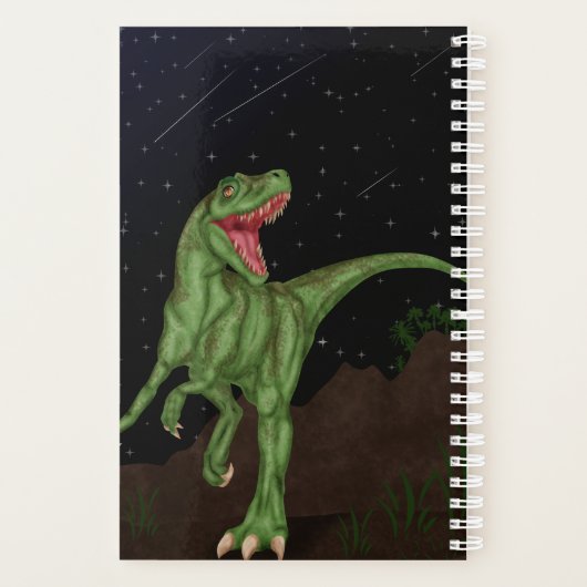 Dinosaure - Nuit préhistorique (Dos)