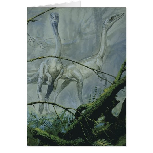 Dinosaures vintages, Megapnosaurus alias Syntarsus (Devant)