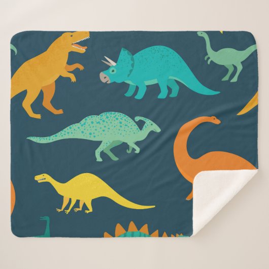 Dinosaurus Avontuur: Kinderen kinderkamer behang Sherpa Deken (Voorkant (horizontaal))