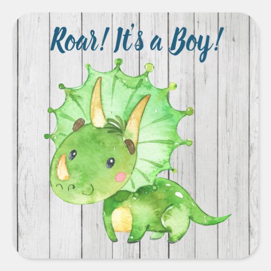 Dinosaurus Baby shower Stickers (Voorkant)