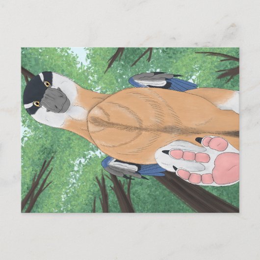 Dinosaurus briefkaart - Dromaeopodus (Voorkant)