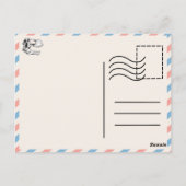 Dinosaurus briefkaart - Torosaurus (Achterkant)