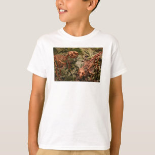 dinosaurus, Dinorama kinder shirt