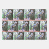Dinosaurus inpakpapier vellen - 3 design (Voorkant)