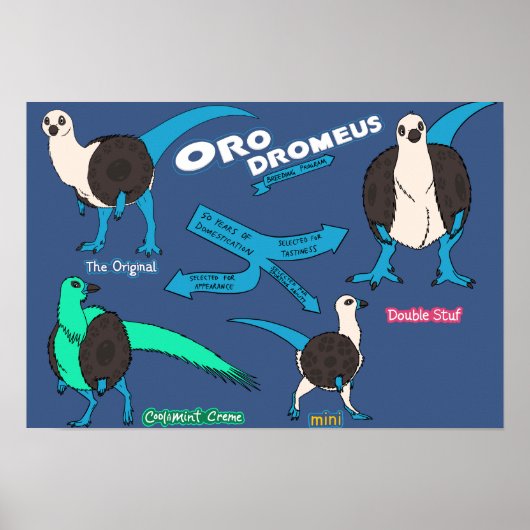 Dinosaurus poster - Orodromeus (Voorkant)