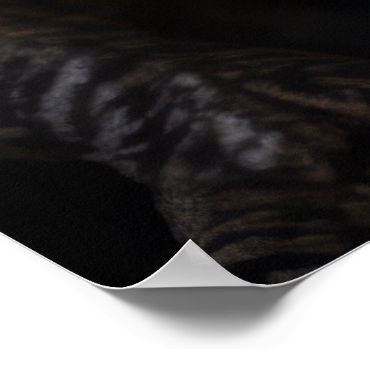 Dinosaurus wild beest portret felle kracht poster (Hoek)