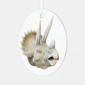 Dinosaurushoorn, Metalen Ornament (Voorkant links)