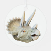 Dinosaurushoorn, Metalen Ornament (Achterkant)