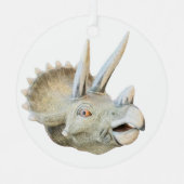 Dinosaurushoorn, Metalen Ornament (Voorkant)