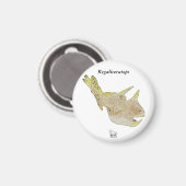 Dinosaurusmagneet Regaliceratops Greg Paul Magneet (Voorkant / Achterkant)