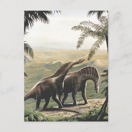 dinosaurussen, Amargasaurus met palmbomen Briefkaart (Voorkant)