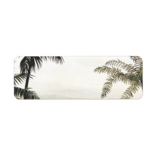 dinosaurussen, Amargasaurus met palmbomen Etiket