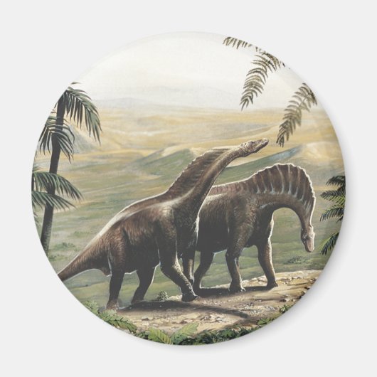  dinosaurussen, Amargasaurus met palmbomen Magneet (Voorkant)