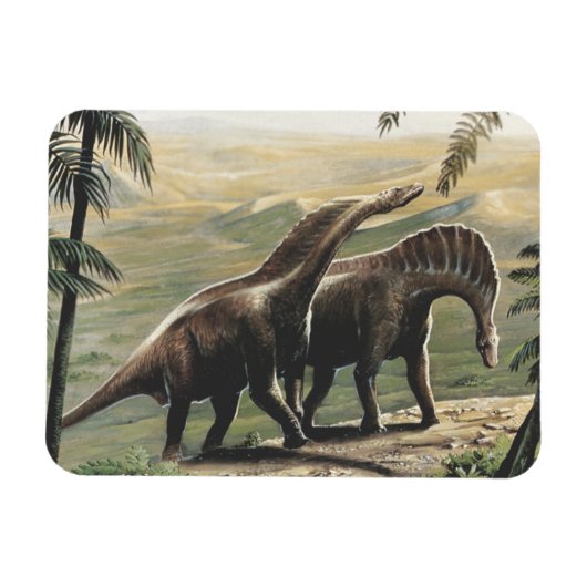  dinosaurussen, Amargasaurus met palmbomen Magneet (Horizontaal)
