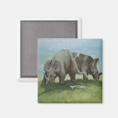  dinosaurussen, Centrosaurus Grazing in de weide Magneet (Voorkant / Achterkant)