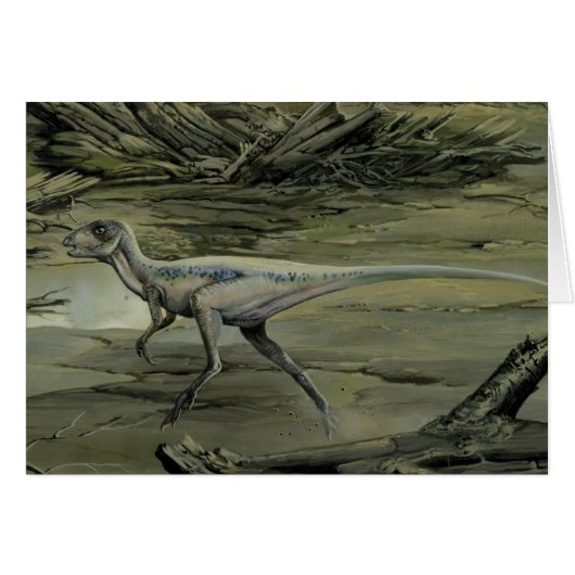  dinosaurussen, een Cretacous Hypsilophodon (Voorkant Horizontaal)