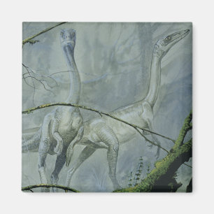  dinosaurussen, Megapnosaurus o.b.a. Syntarsus Magneet