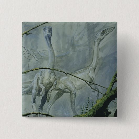 dinosaurussen, Megapnosaurus o.b.a. Syntarsus Vierkante Button 5,1 Cm (Voorkant)