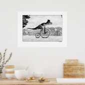 Dinosaurussen op fietsen - T-Rex Poster (Keuken)
