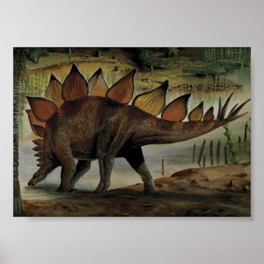  dinosaurussen, Stegosaurus, staart met pieken Poster (Voorkant)