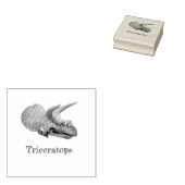 dinosaurusstempel rubberstempel (Gestempeld)