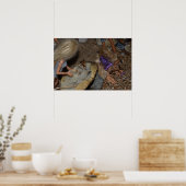 Dinostew Poster (Keuken)