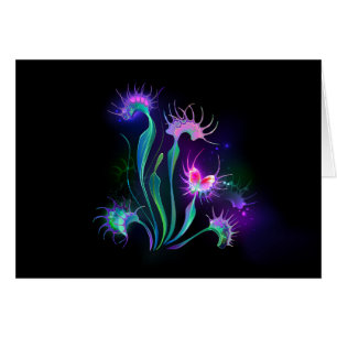 Dionaea éclatante