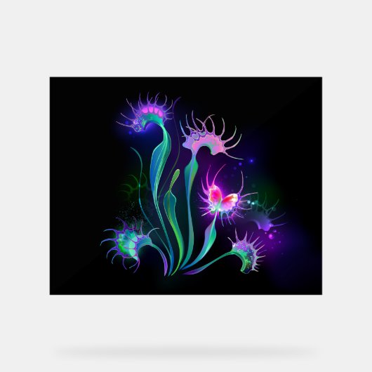 Dionaea piège lumineuse (Recto)