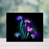 Dionaea piège lumineuse (Neutre)