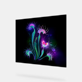 Dionaea piège lumineuse (Angle)
