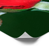 Dios es amor (Kartel de 1 Juan 4:8) Poster (Hoek)