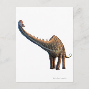 Diplodocus Briefkaart
