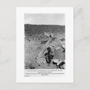 Diplodocus dinosaur briefkaart