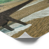 Diplodocus dinosaurs kudde - 3D rendering Poster (Hoek)