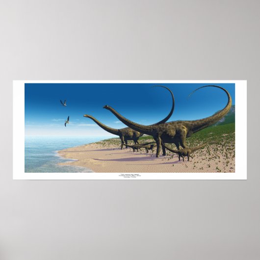 Diplodocus Herd Print (Voorkant)