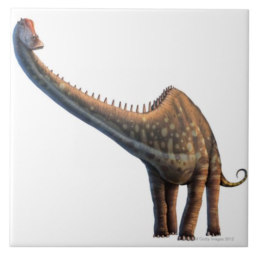 Diplodocus Tegeltje (Voorkant)