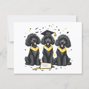 Diploma Standard Poodle Honden Briefkaart