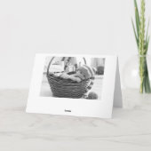 Dipped Stripes Kaart (Achterkant)