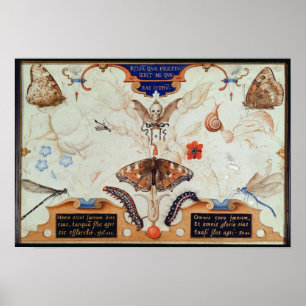 Diptych met bloemen en insecten, 1591 poster
