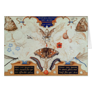 Diptyque avec les fleurs et les insectes, 1591
