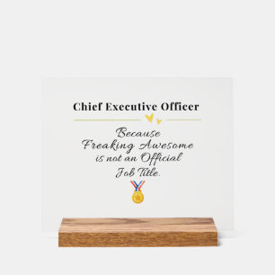 Directeur général drôle